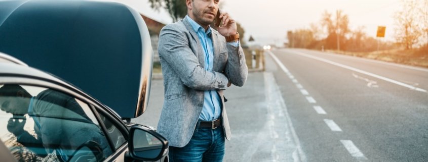 shutterstock asistenta pana 2